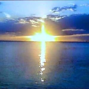 Meet your Posher, Darlene